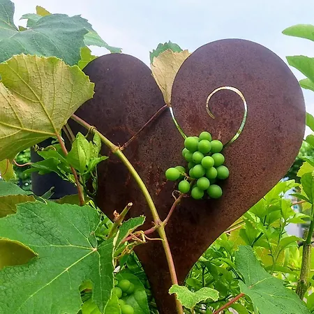 Klett מלון לנגנרגן