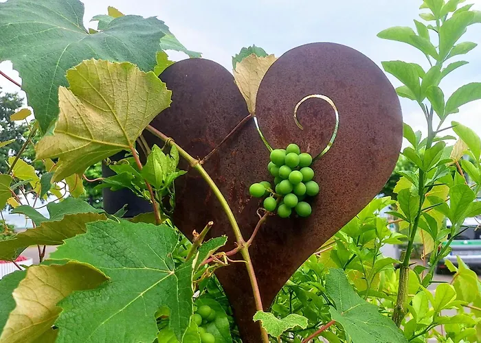 Klett Hotel Langenargen